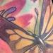 Tattoos - Butterfly garden - 78751